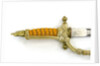 Hilt of dirk by Alcoso