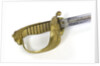 Chilean dress sword by unknown