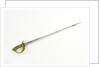 Chinese Maritime Customs sword by J.R. Gaunt & Son Limited