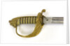 Chinese Maritime Customs sword by J.R. Gaunt & Son Limited