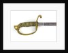Stirrup hilted sword by unknown
