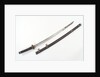 Tachi (sword) by Unknown