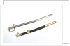 Straight stirrup hilted sword by Prosser