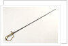 Stirrup hilted dress sword by unknown