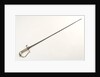 Stirrup hilted dress sword by unknown