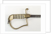 Stirrup hilted dress sword by unknown