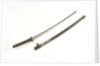 Tachi (sword) by Noshu Kanetoshi