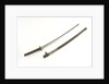Tachi (sword) by Noshu Kanetoshi