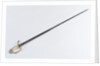 American Fighting sword by T. Wells & Co.