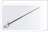 American Fighting sword by T. Wells & Co.