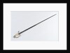 American Fighting sword by T. Wells & Co.