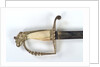 American Fighting sword by T. Wells & Co.