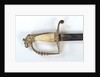 American Fighting sword by T. Wells & Co.