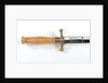 Danish dirk by E.B.S. Solingen
