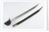 French cutlass by Impale de Chatellerault