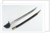 French cutlass by Impale de Chatellerault