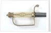 Side-ring stirrup guard sword by Unknown