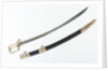 Stirrup hilted sword by Hill & Yardley