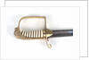 Hilt of sword by Prosser