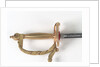 Court sword by Hawkes & Co. Ltd.