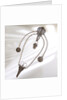 Chatelaine by unknown