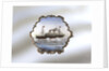 Brooch by unknown