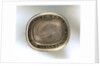 Brooch by unknown