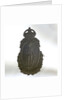 Brooch by unknown