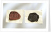 Intaglio seal by unknown