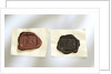 Intaglio seal by unknown