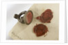 Fob seal by unknown
