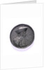 Medal commemorating Admiral Cornaro; obverse by unknown