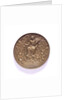 Medal commemorating ships burnt in the Medway and the proclomation of the peace of Breda, 1667; obverse by P.van Abeele