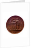 Medal commemorating the destruction of the Turkish fleet at Sinope, 1853; reverse by L.J. Hart
