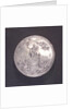 Medal commemorating the Peace of Ryswick and rejoicings at Gouda, 1697; reverse by J. Drappentier