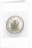 Medal commemorating the Expedition to Vigo Bay, 1702; reverse by M. Smeltzing