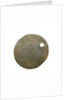 Nuremberg counter; obverse by unknown
