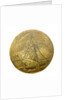 Lighterman's badge; obverse by unknown