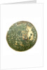 Counter commemorating Queen Marie Ther by unknown