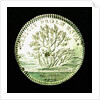 Counter commemorating the opening up of the new colonies; reverse by unknown