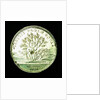 Counter commemorating the opening up of the new colonies; reverse by unknown