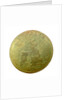 Medal commemorating James, the Elder Pretender; reverse by N. Roettier