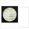 Medal commemorating Admiral General George Monk (1608-70): 1st Duke of Albemarle; reverse by T. Simon