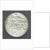 Medal commemorating disputes with Holland; reverse by G. Bower