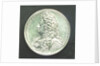 Medal commemorating Prince George of Denmark, High Admiral (1653-1708); reverse by J. Croker