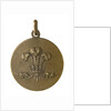 Medalet commemorating HMS 'Prince of Wales'; obverse by unknown