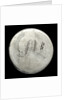 Half-crown; obverse by unknown