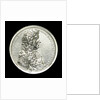 Medal commemorating the Spanish wreck recovered, 1687; obverse by G. Bower