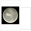 Medal commemorating the North and South Holland Life-Saving Society; 25th anniversary; reverse by unknown
