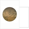 Medal commemorating the wreck of the SS 'Berlin', 1907; obverse by A.T. van Rooy